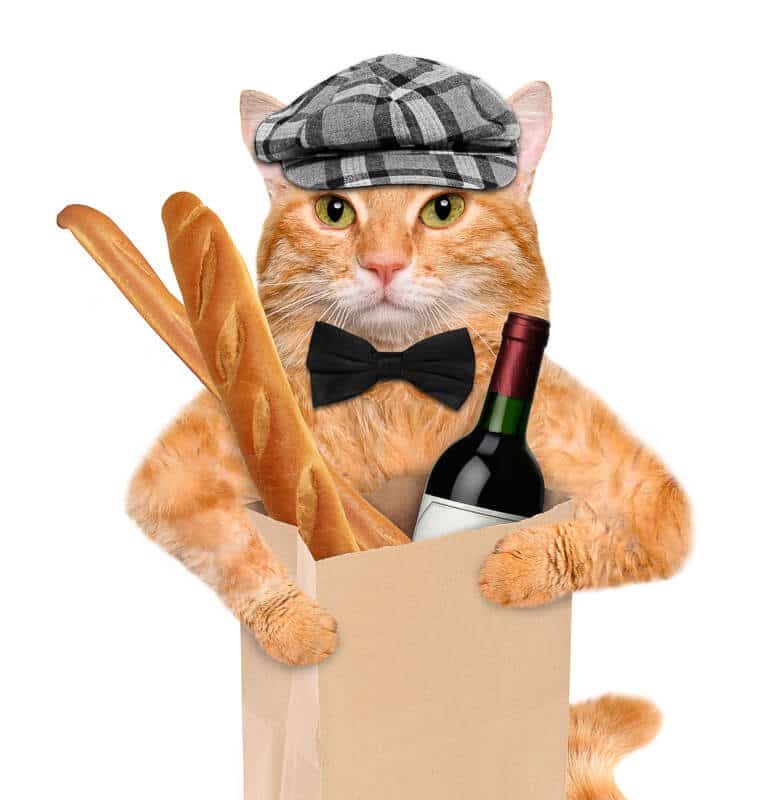 Cat with all things french