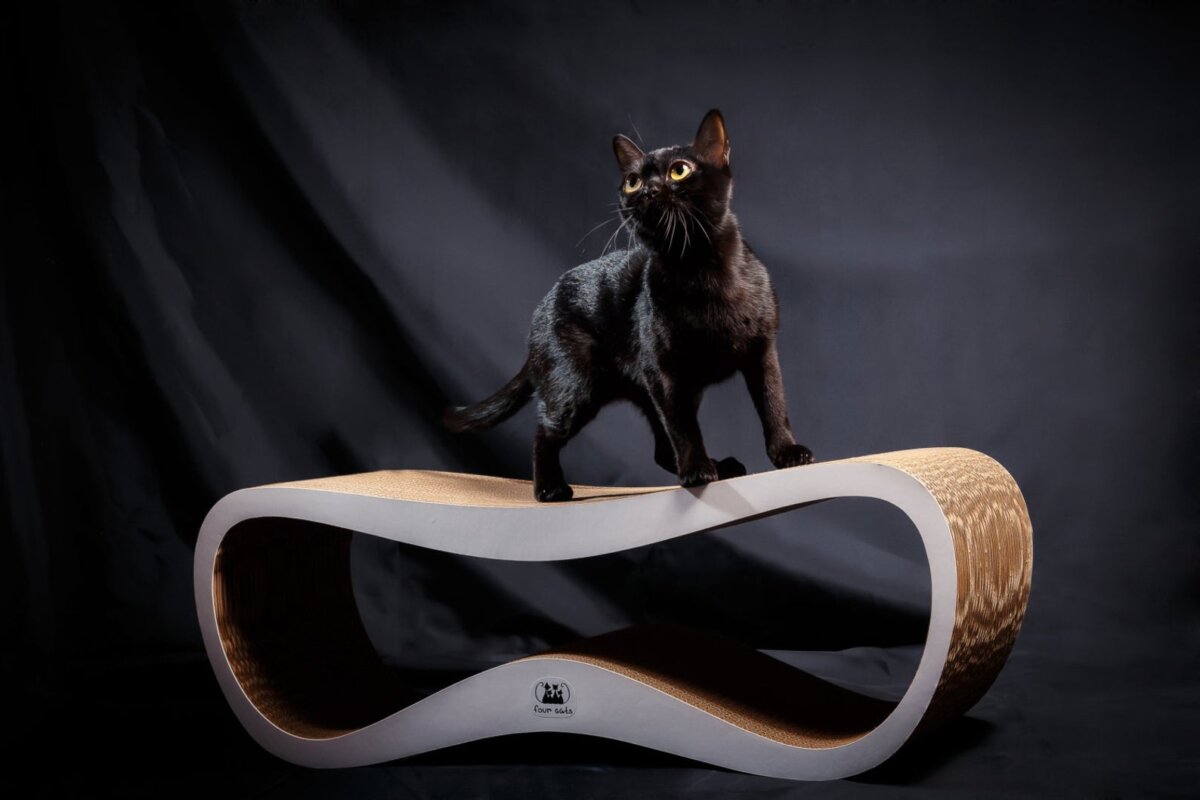 15 Best Cat Products Your Cat Needs to Have (2023) 16 modern cat scratcher with black cat