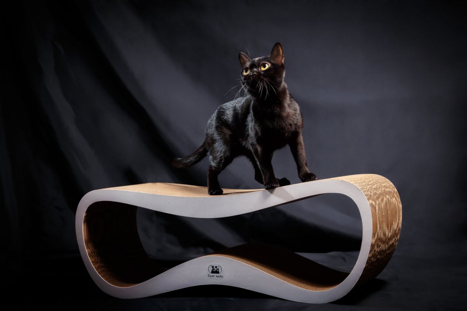 15 Best Cat Products Your Cat Needs to Have (2022) I Discerning Cat