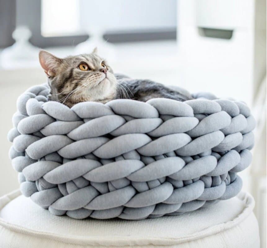 15 Best Cat Products Your Cat Needs to Have (2023) 5 woven cat bed