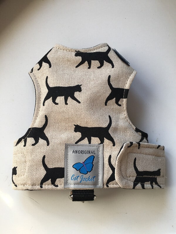 butterfly cat jacket