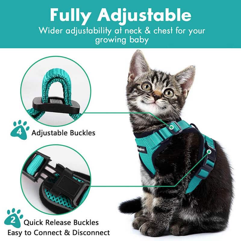 Easy Control Breathable Cat Vest with Reflective Strip Lifetime Replacement No Leash Cat Harness for Walking Escape Proof 2 Pack Lightweight Kitten Harness 