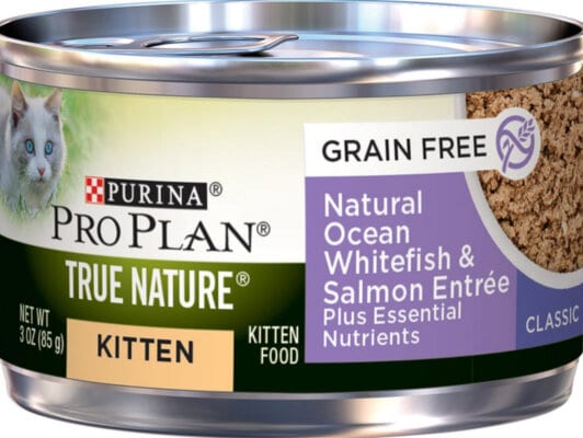 6 Best High Calorie Cat Food Options For Underweight Kitties 2021