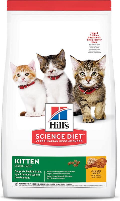 best wet cat food for cats