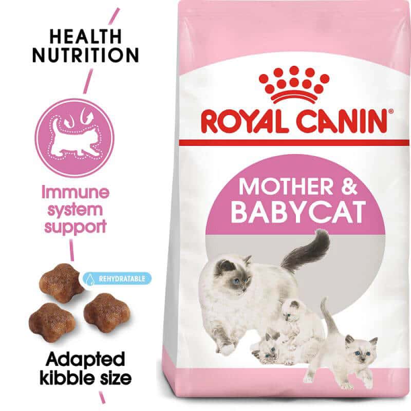 9 Best Kitten Dry Food Options for Your Cat 2023 I Discerning Cat