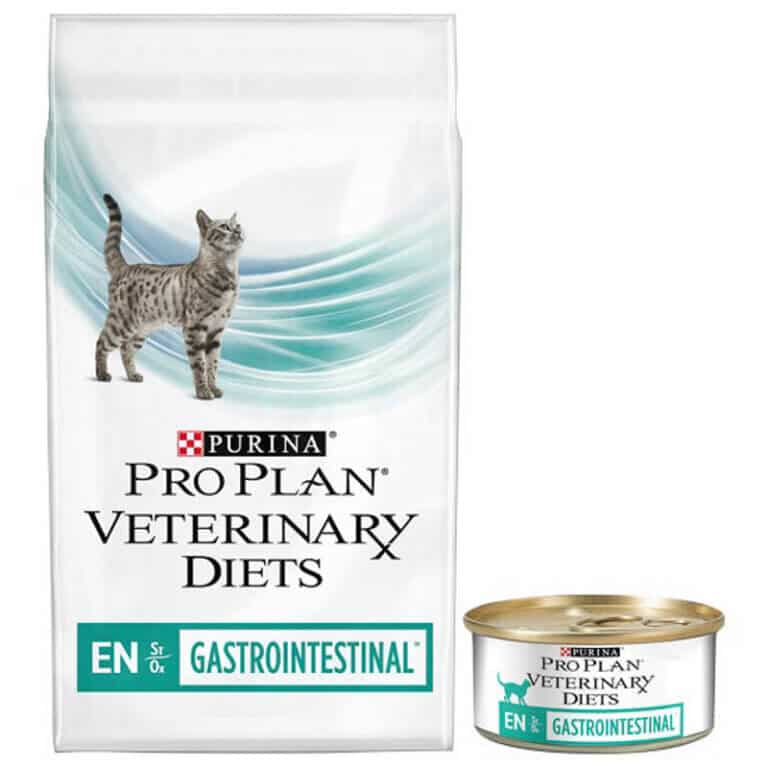 Best Food for Cats with IBD Foods to Soothe Sensitive