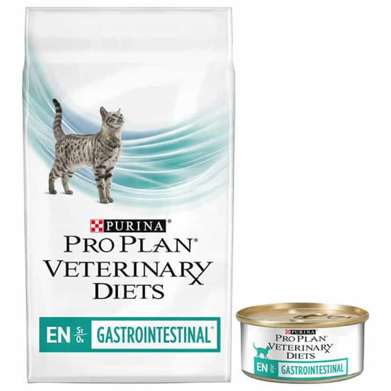 best dry food for ibd cats