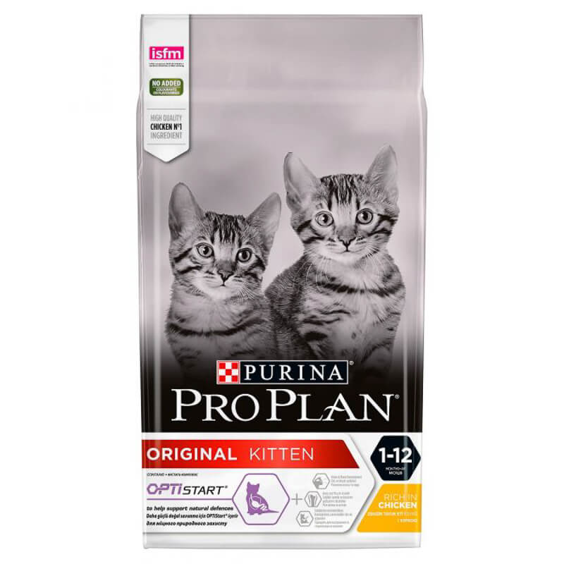 Best Kitten Dry Food: 8 Tasty Options for your Feline I The Discerning Cat