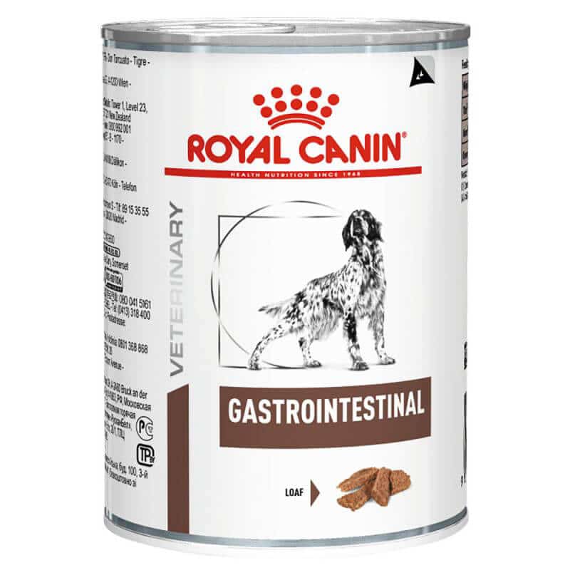 royal canin gastrointestinal