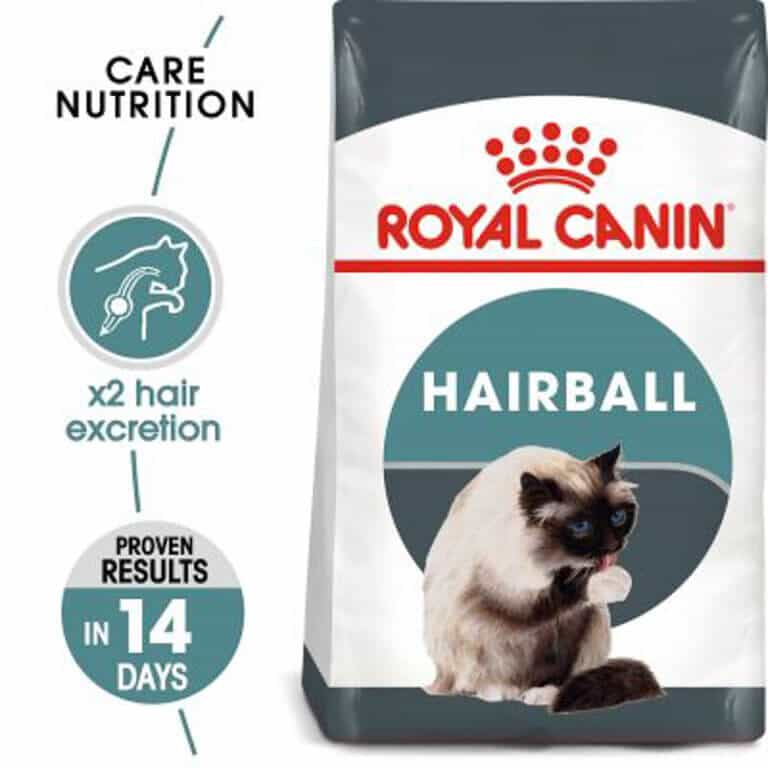 6 Best High Fiber Cat Food Options for Your Constipated Kitty 2022