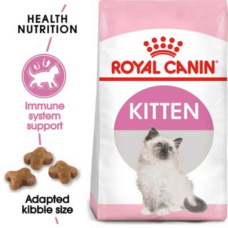 royal canin kitten food one of the best kitten dry food options