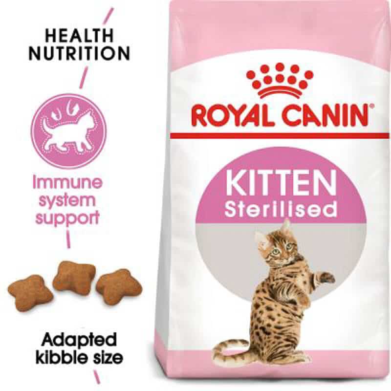 best hard kitten food