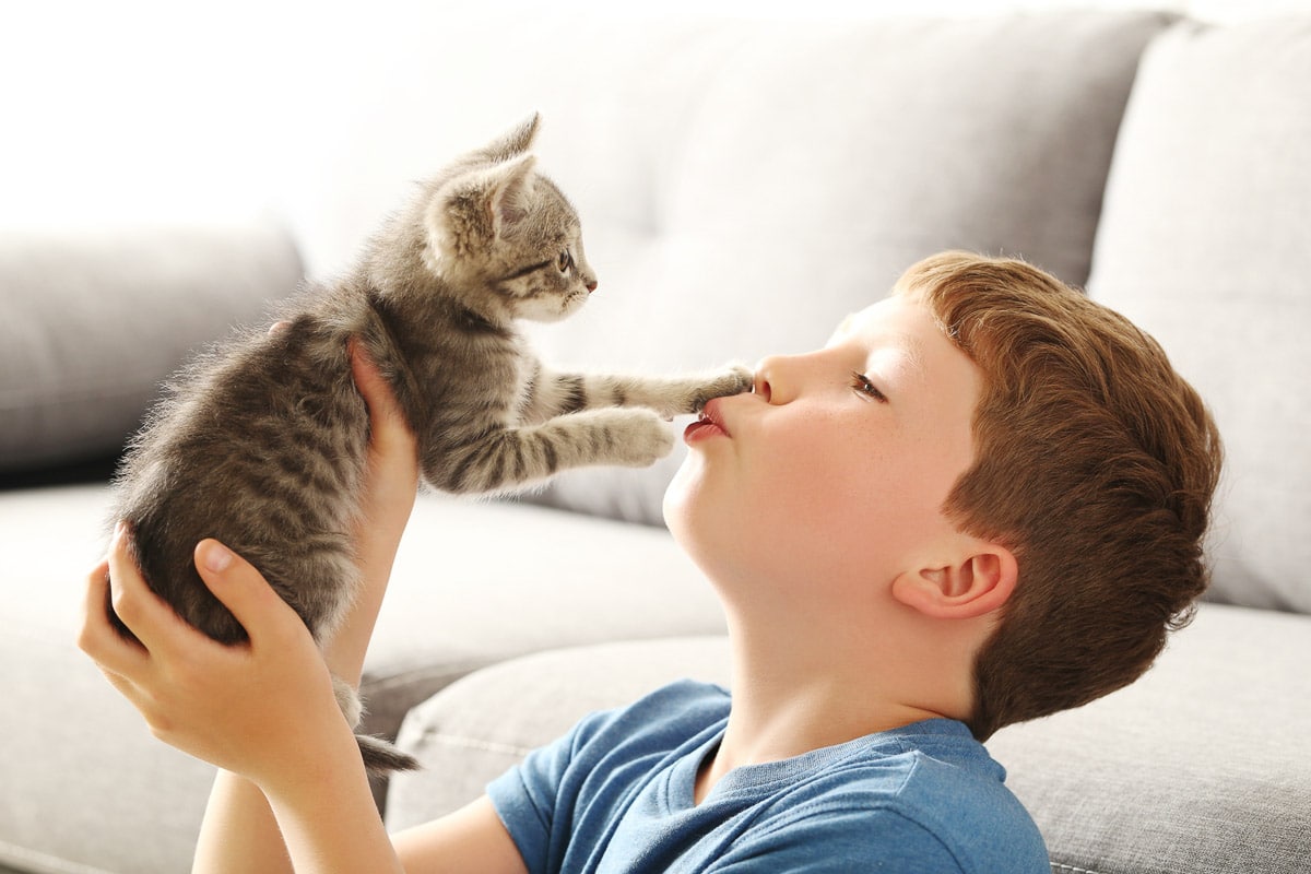 Child with kitten on grey sofa at home Why do cats lick your nose