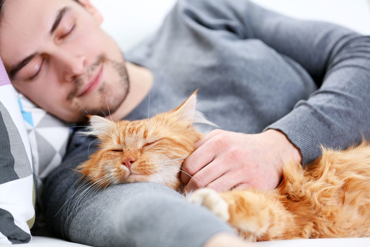 Jeune homme endormi avec un chat roux duveteux.