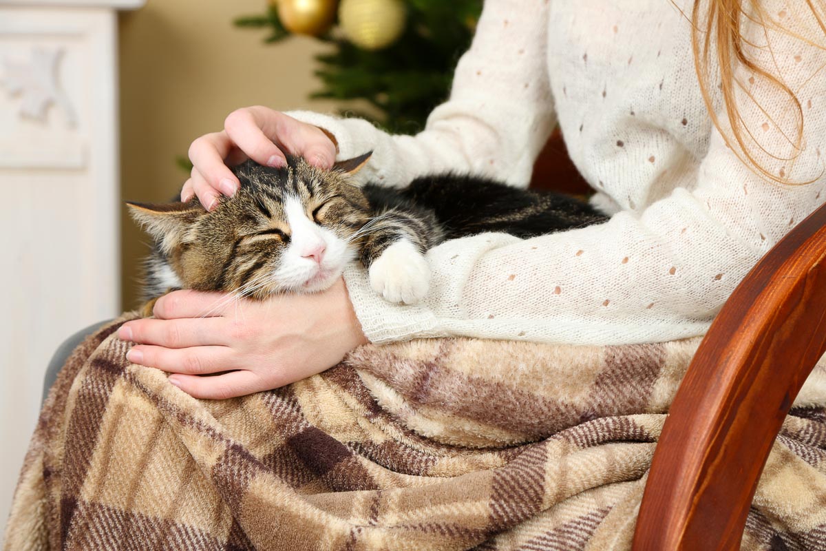 Woman and cute cat sitting on rocking chair in the front of the