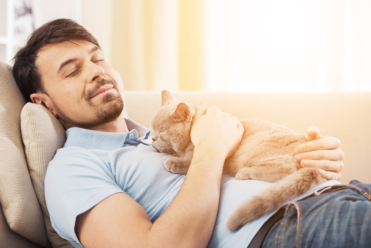 Young bearded guy sleeping on sofa at home