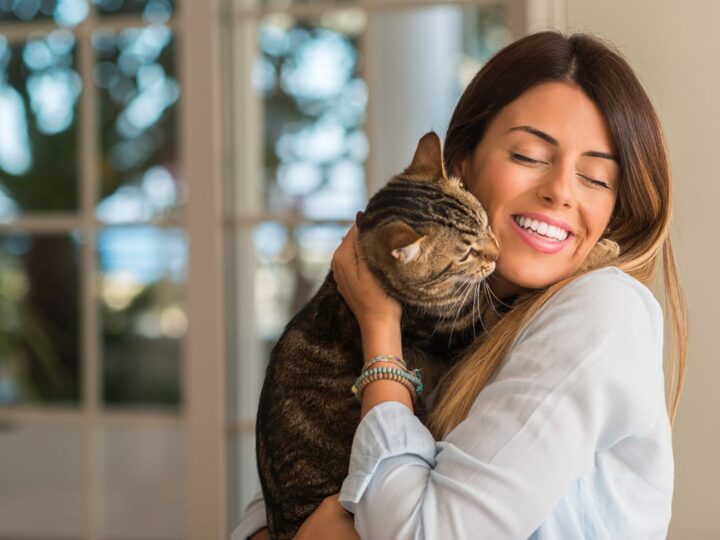 What Does it Mean When a Cat Headbutts you? 10 Things You Need to Know