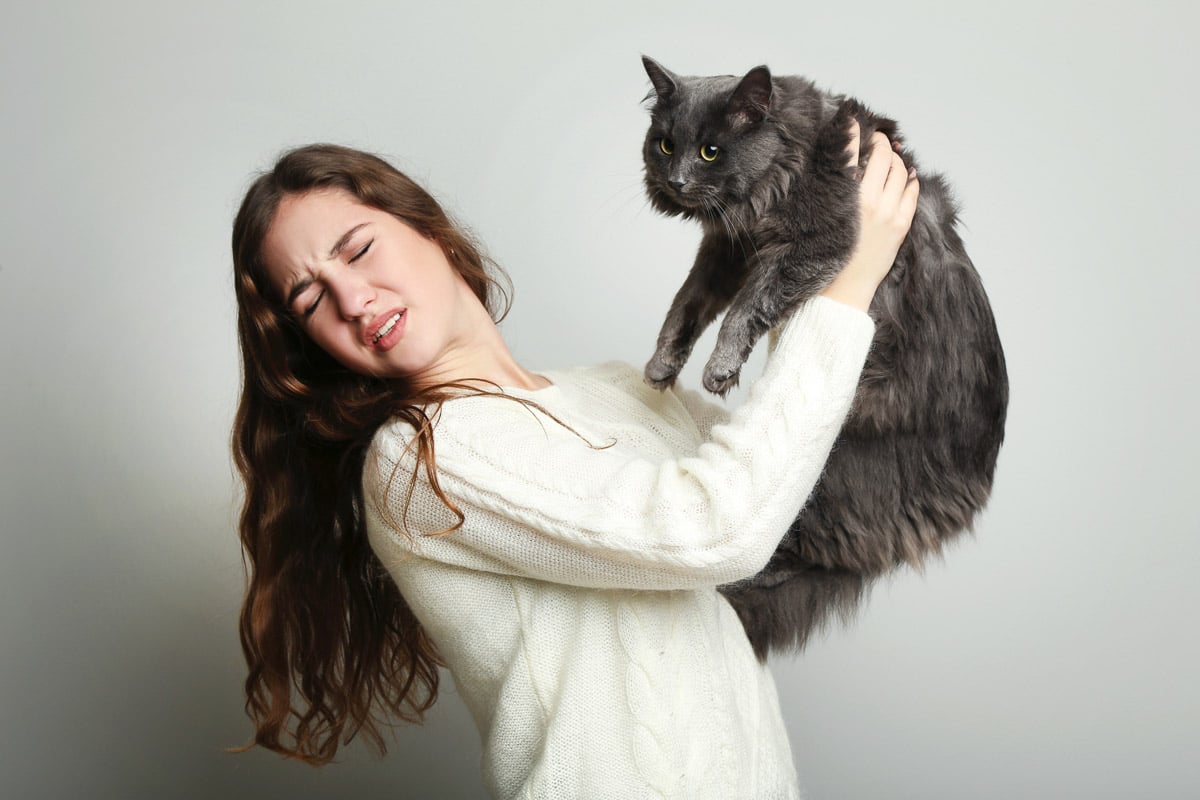 Young woman with allergy holding cat on grey background wondering why does my cat eat my hair