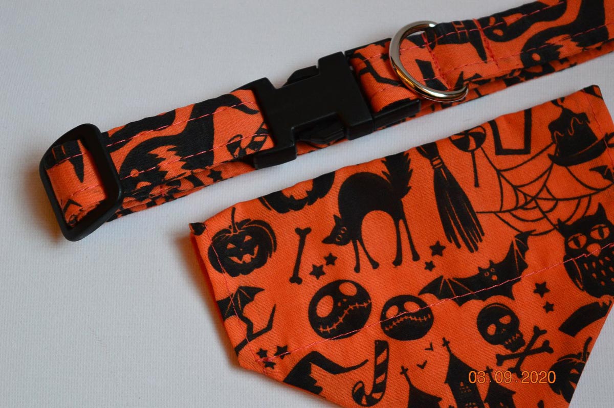 6 Spooky Halloween Cat Collar Options (2023) 5 halloween cat collar and bandana set