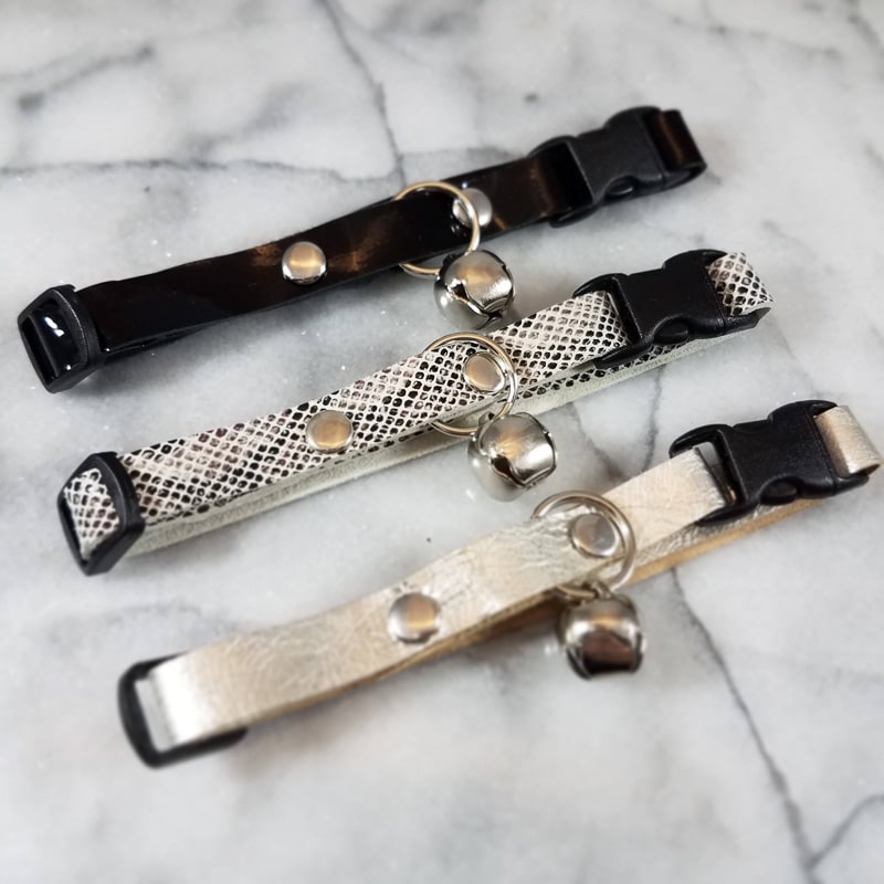 6 Stylish Leather Cat Collars Your Cat Will Love (2023) 6 fancy leather collar