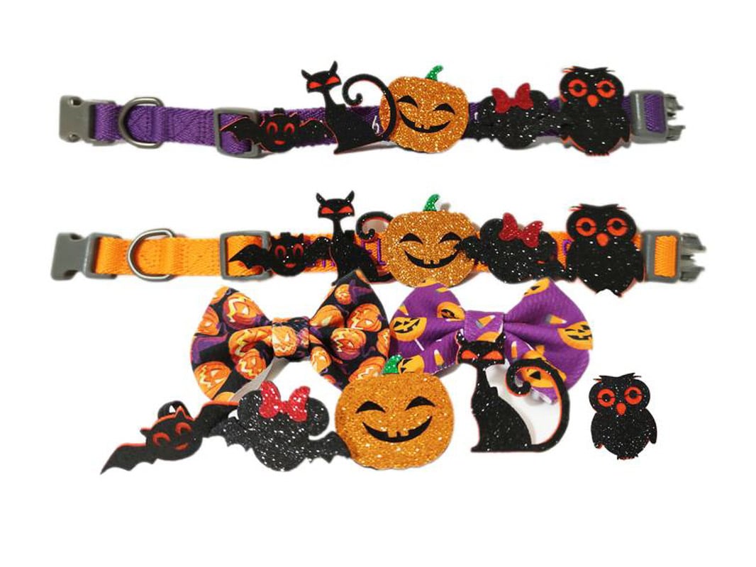 6 Spooky Halloween Cat Collar Options (2023) 7 halloween detachable cat collars