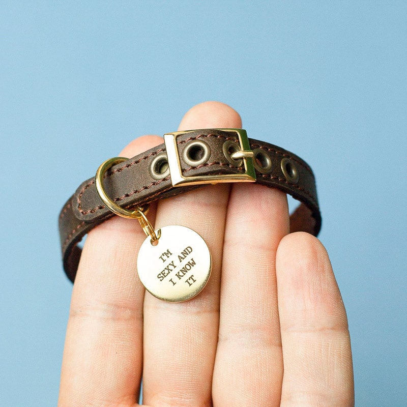 leather cat collar with id tag