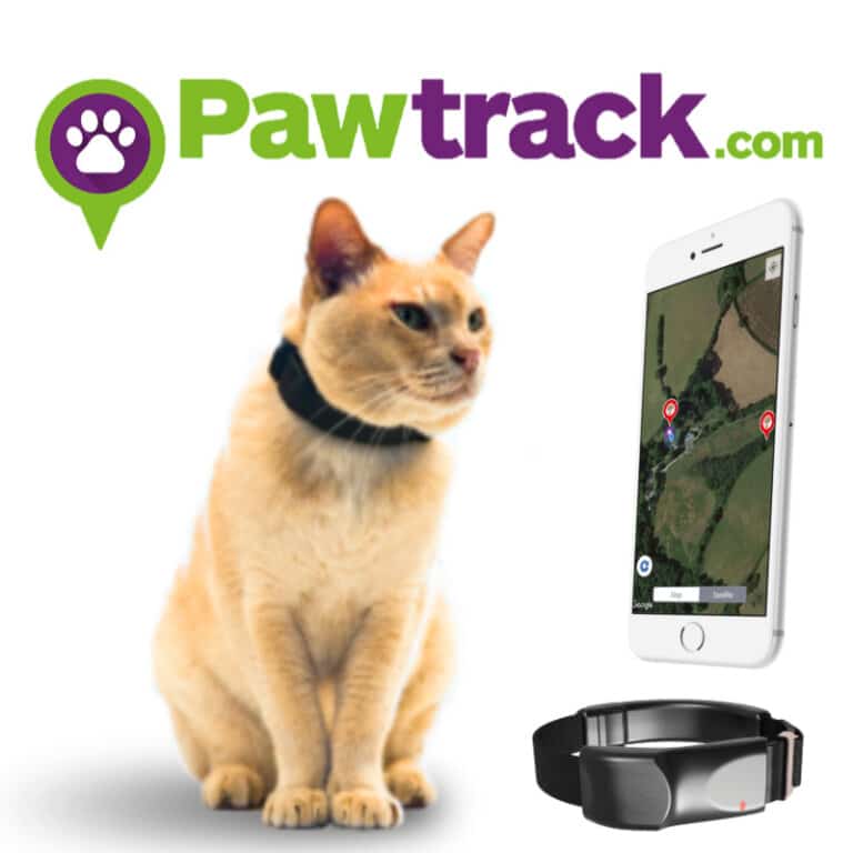 7 Best Cat Tracking Collars (2023) I Discerning Cat