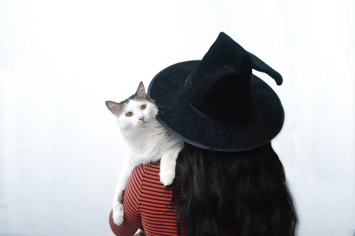 person in black hat seen from behind with a white cat