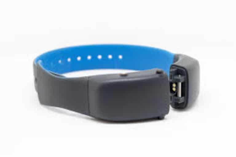 7 Best Cat Tracking Collars (2023) I Discerning Cat