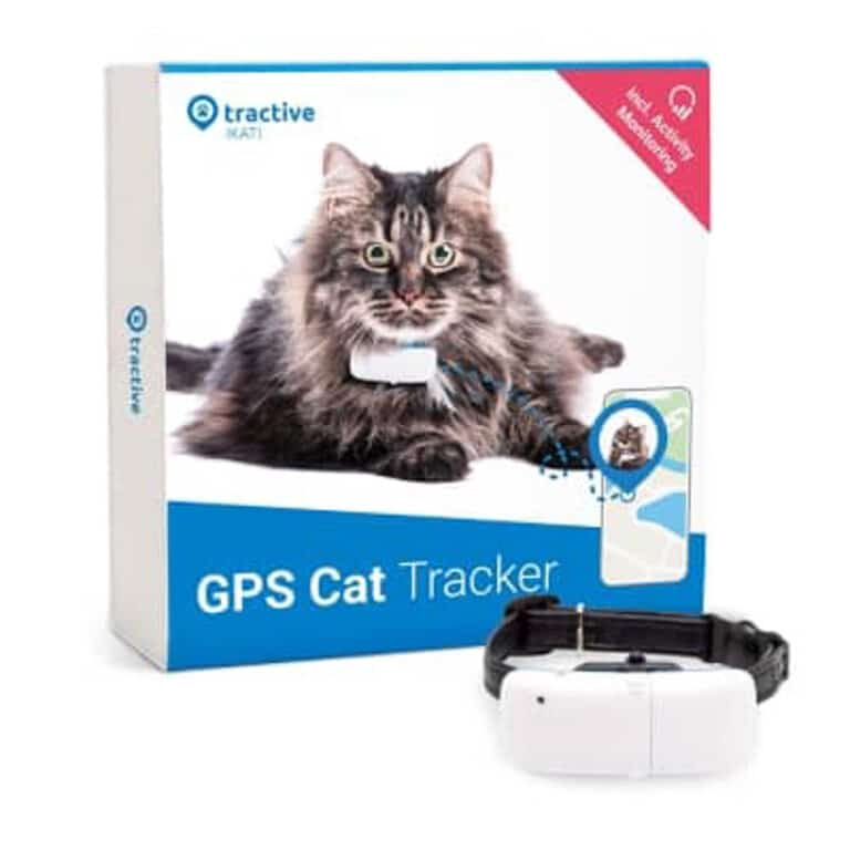 7 Best Cat Tracking Collars (2022) I Discerning Cat