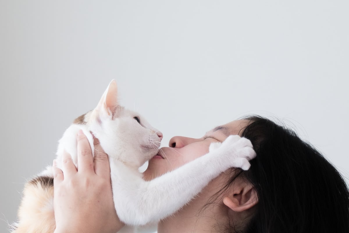 white cat being kissed with paw on woman's hair