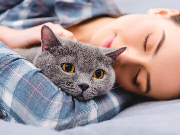 Why Does My Cat Sleep with Me? 4 Reasons You Should Know