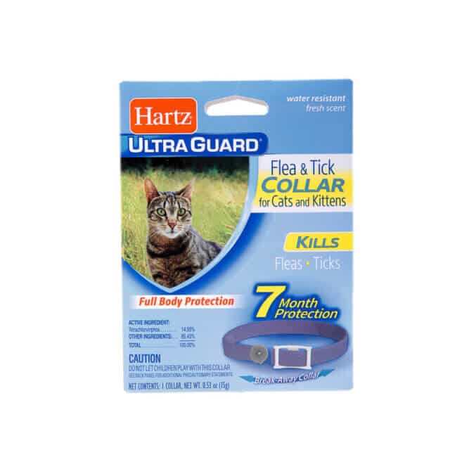 6 Best Flea Collars For Cats (2022) I Discerning Cat