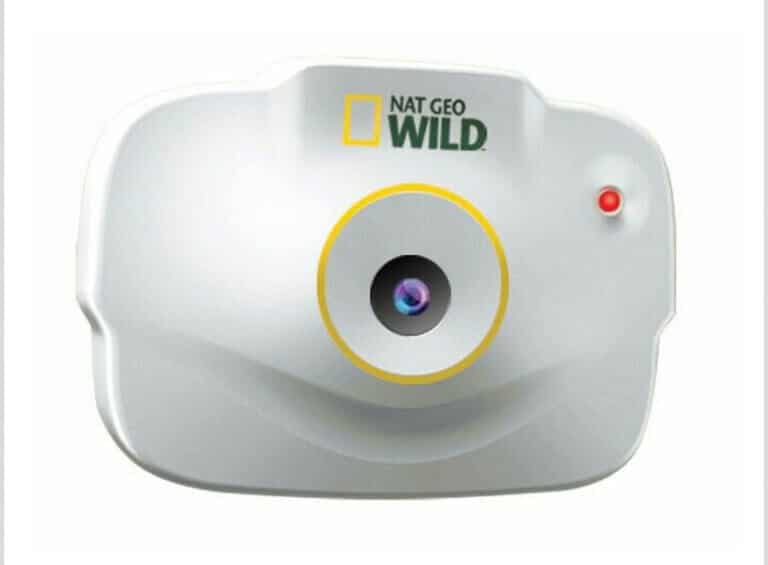 4 Best Cameras for Cat Collars You'll Love 2022 I Discerning Cat