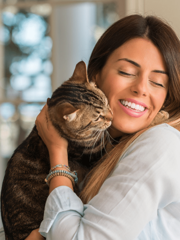 what-does-it-mean-when-a-cat-licks-you-9-reasons-you-should-know