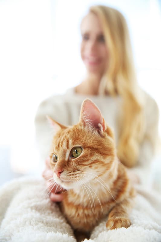 ginger cat sits at end of blond woman's feet