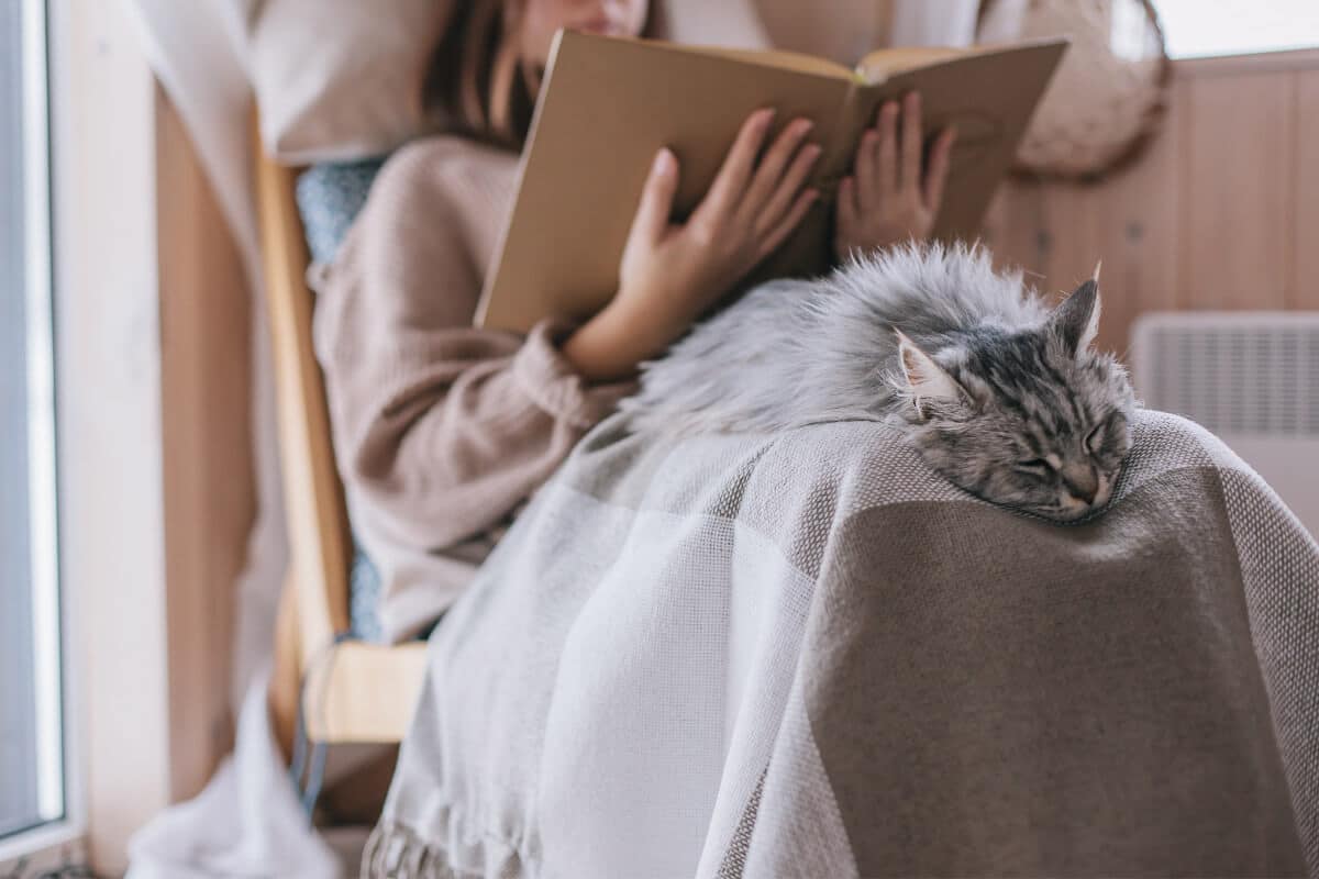 grey cat sits on woman's lap with blanket reading