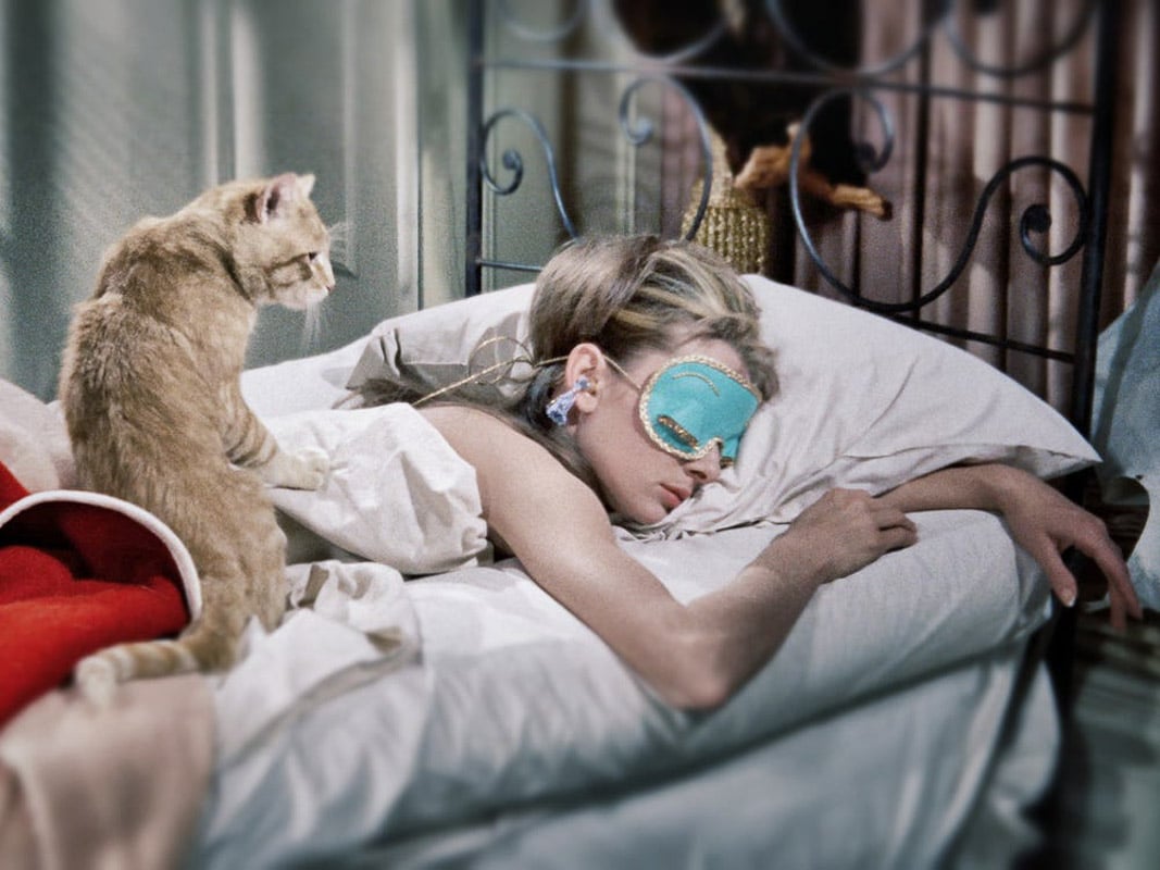 11 Marvellous Movie Cat Names You'll Love 15 Cat in Breakfast at Tiffanys Source Paramount