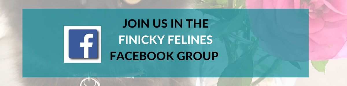 join Finicky felines FB Group Banner