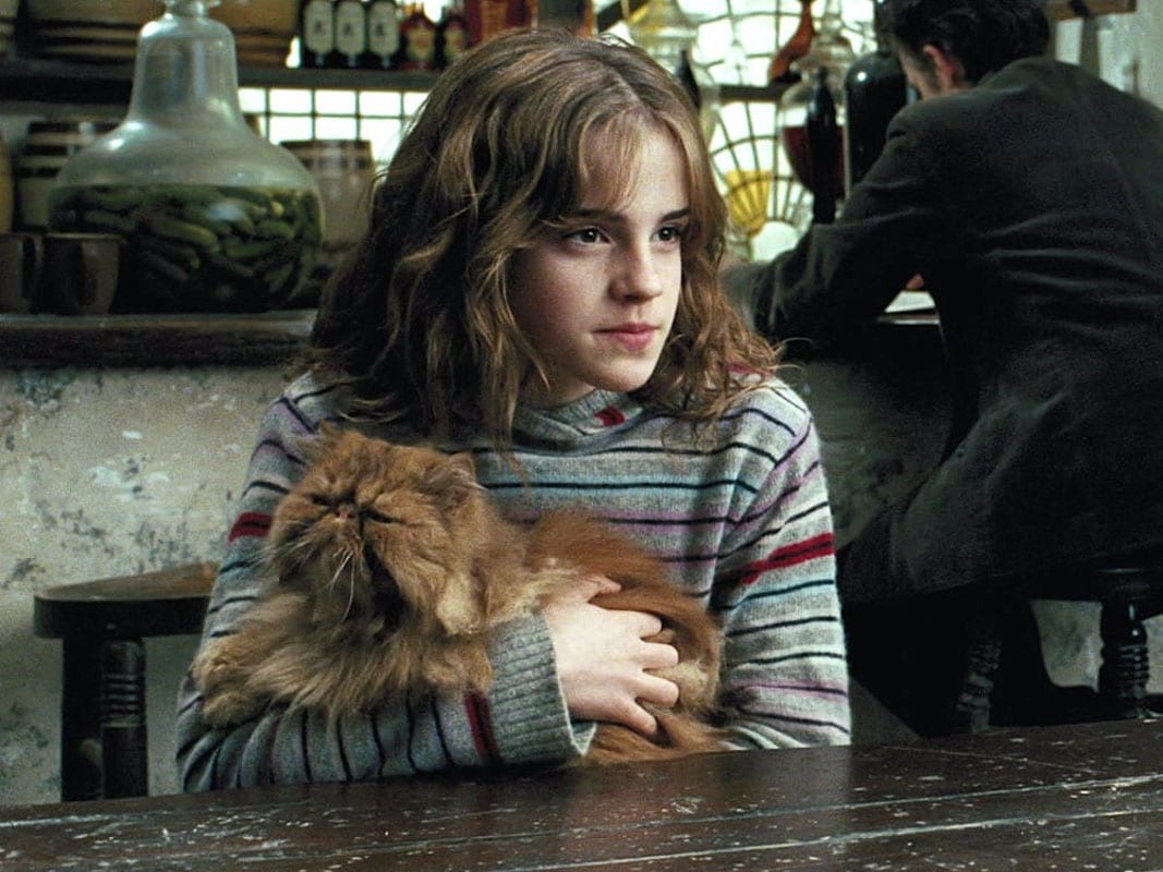 11 Marvellous Movie Cat Names You'll Love 7 Crookshanks Source The Insider Magazine Warner Bros