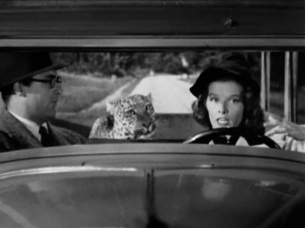 11 Marvellous Movie Cat Names You'll Love 11 bringing up baby movie