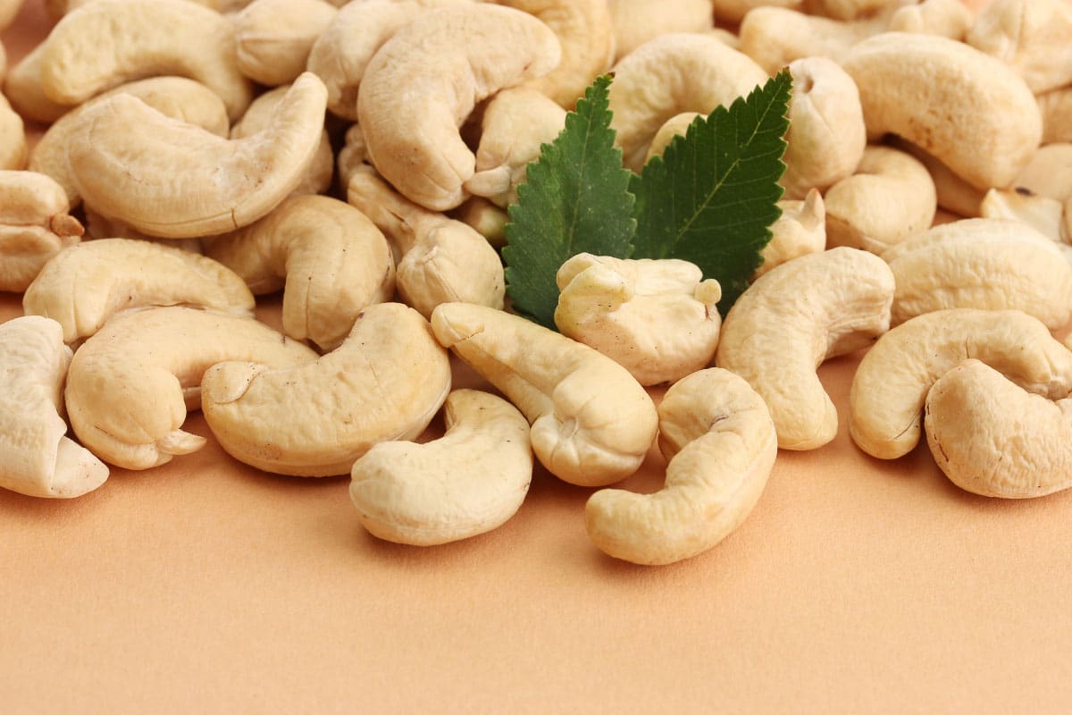 cashew nuts can cats each cashews
