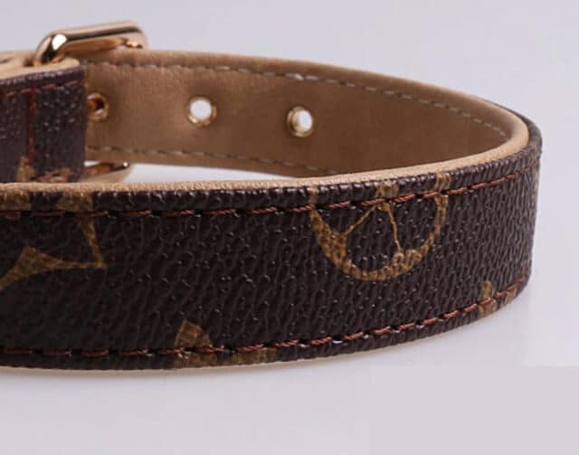 5 Best Designer Cat Collars You'll Love I Discerning Cat