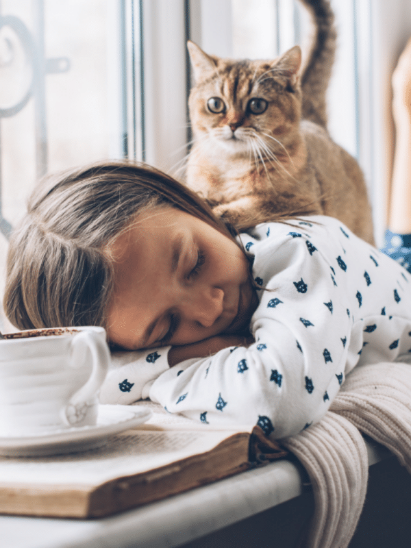 tabby cat on young girl asleep