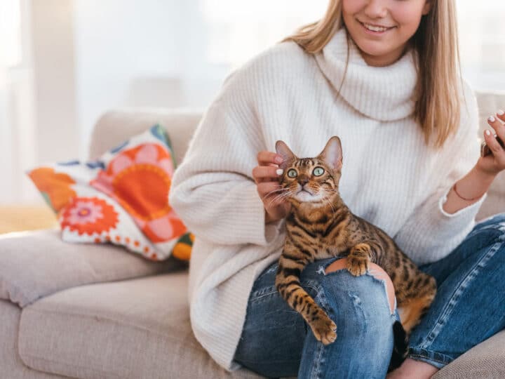 How Long Do Cats Live? 7 Factors Cat Owners Need to Know