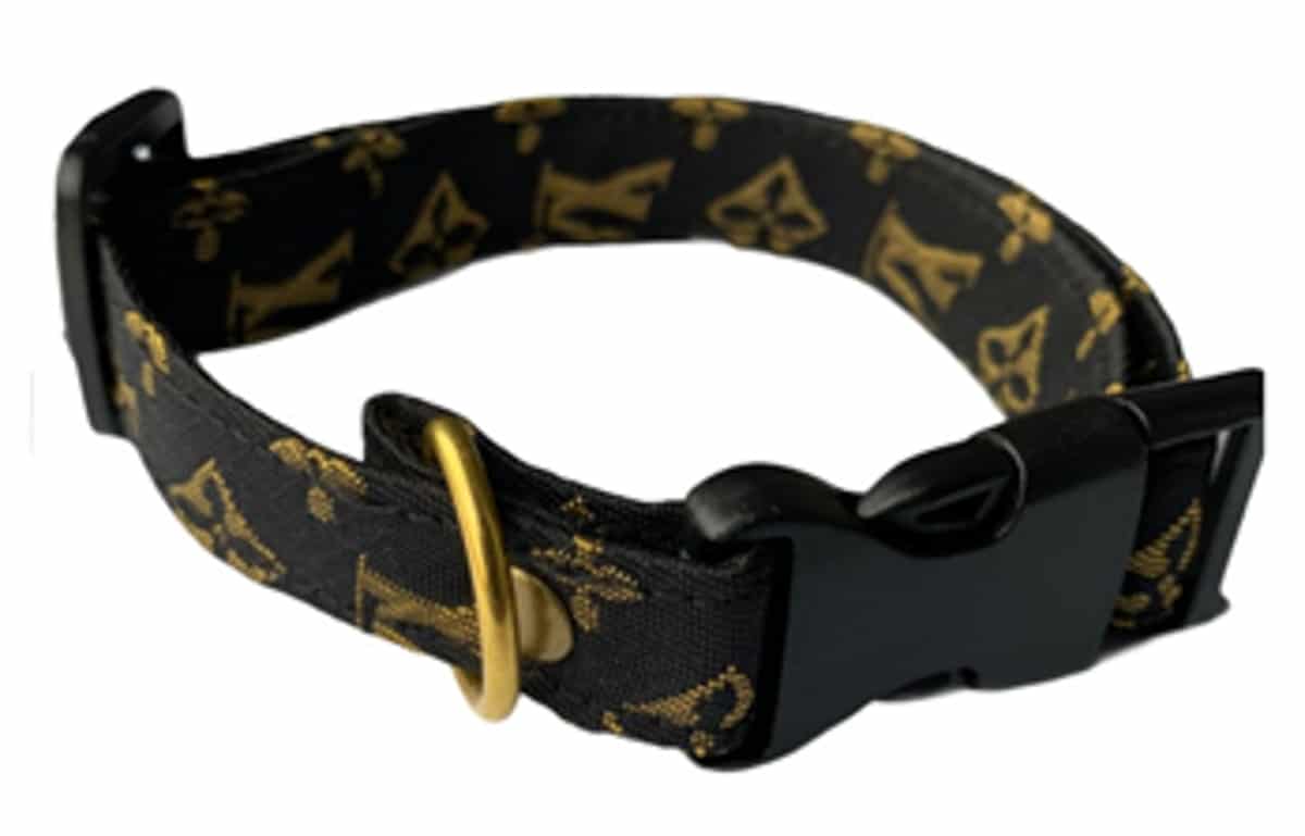 black and gold collar