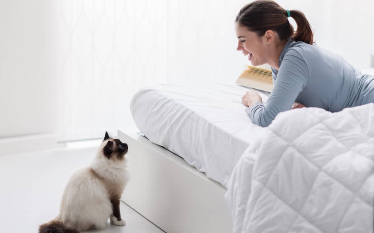 Siamese cat sitting on the floor looking at the woman laying on her stomach on the bed.