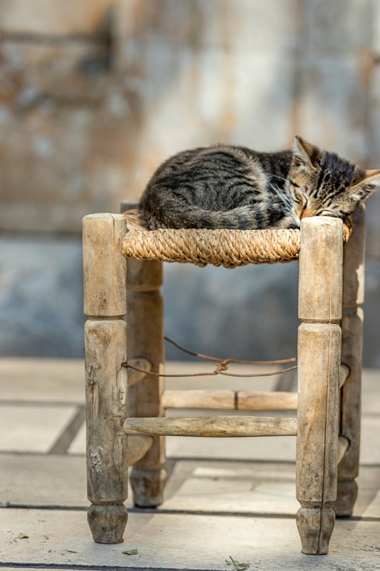 Chaton tabby endormi sur un tabouret en bois.