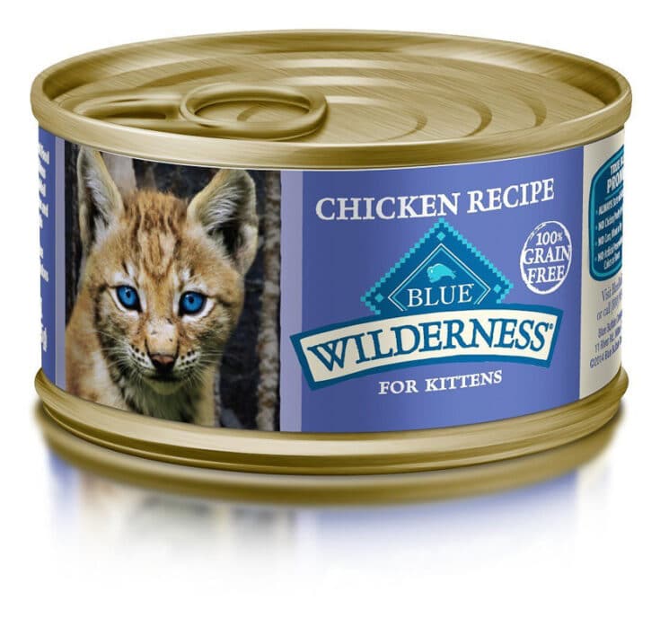 8 Best Kitten Wet Food Options (2022) Your Cat will Love I Discerning Cat