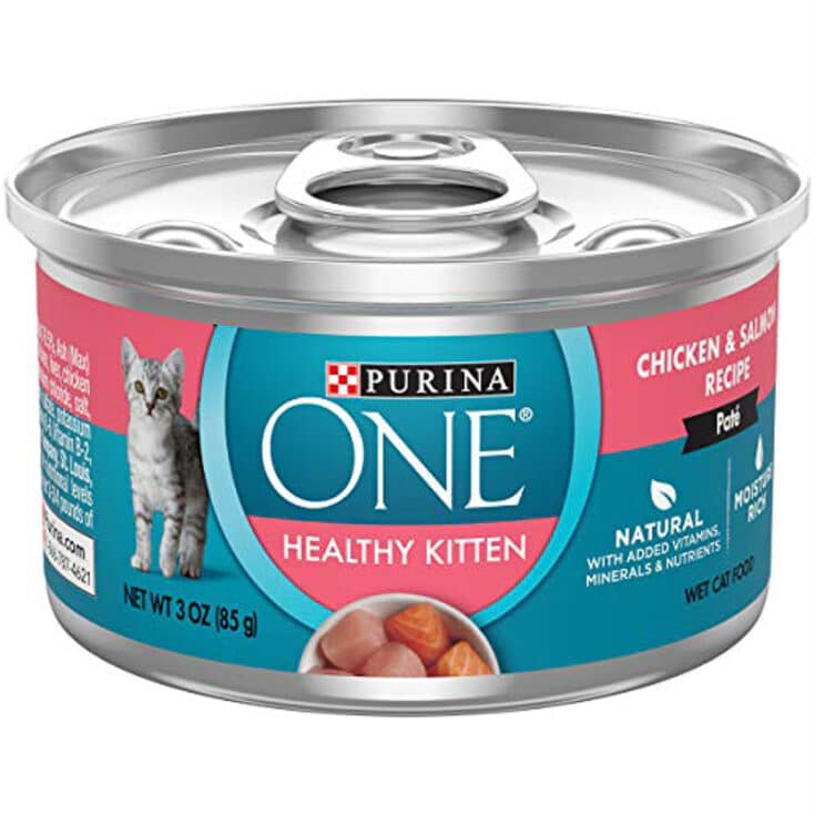 12 Best Kitten Wet Food Options 2022 Your Cat Will Love I Discerning Cat